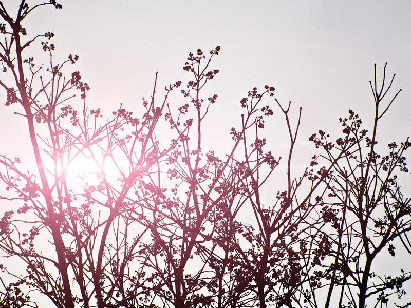 sudoku brain exercise screenshot 1