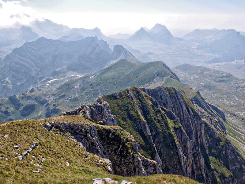 sudoku brain exercise